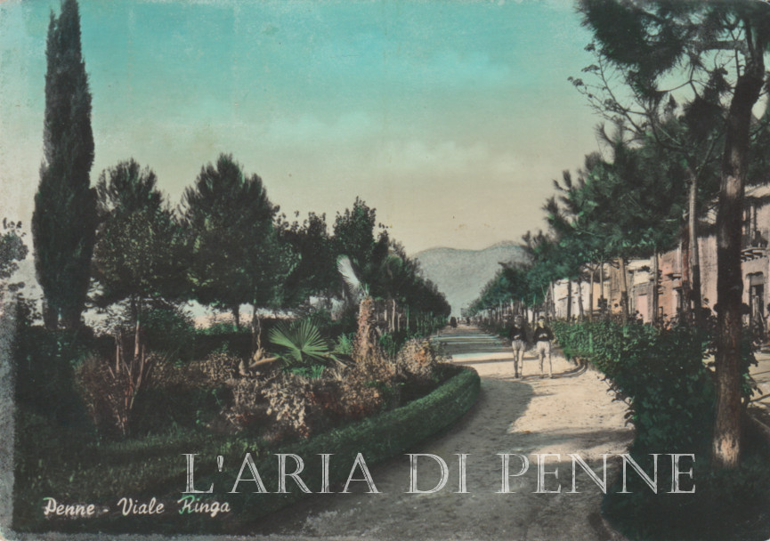 Viale Ringa. Cartolina viaggiata anno 1956