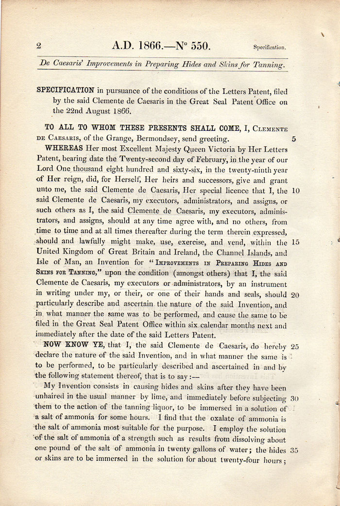 brevetto di Clemente De Caesaris