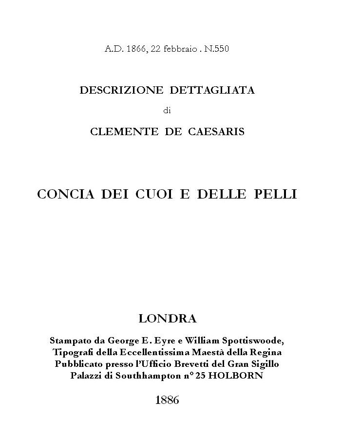 traduzione
